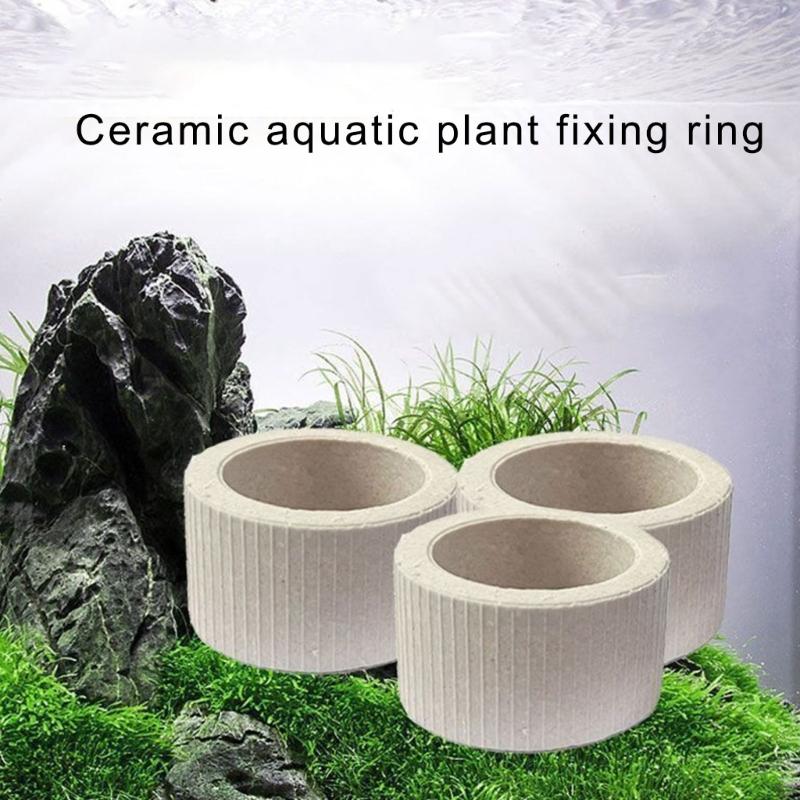 30 Stück Keramik Pflanzengewichte Kein Auftrieb Vegetationsstabilisatoren für Aquascaping Landschaften