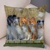 Printed Pet Animal Cushion Cover Scotland Border Collie Soft Plush Pillowcase Decor Cute Dog Pillow Case for Sofa Car