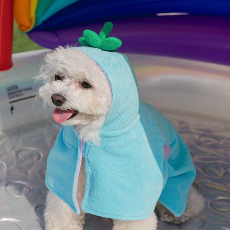 SALTYHEARTY Fruit Robe 2021 GAJI