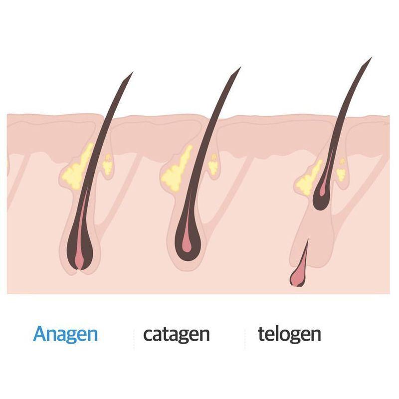 Cosnori Long Active Eyelash Serum