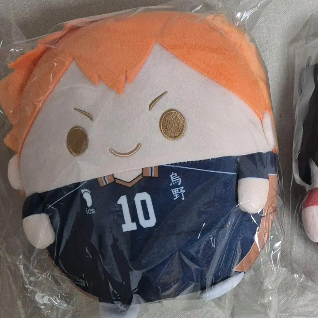 

Haikyu Hinata Race Suit Fuwako Ring Doll M