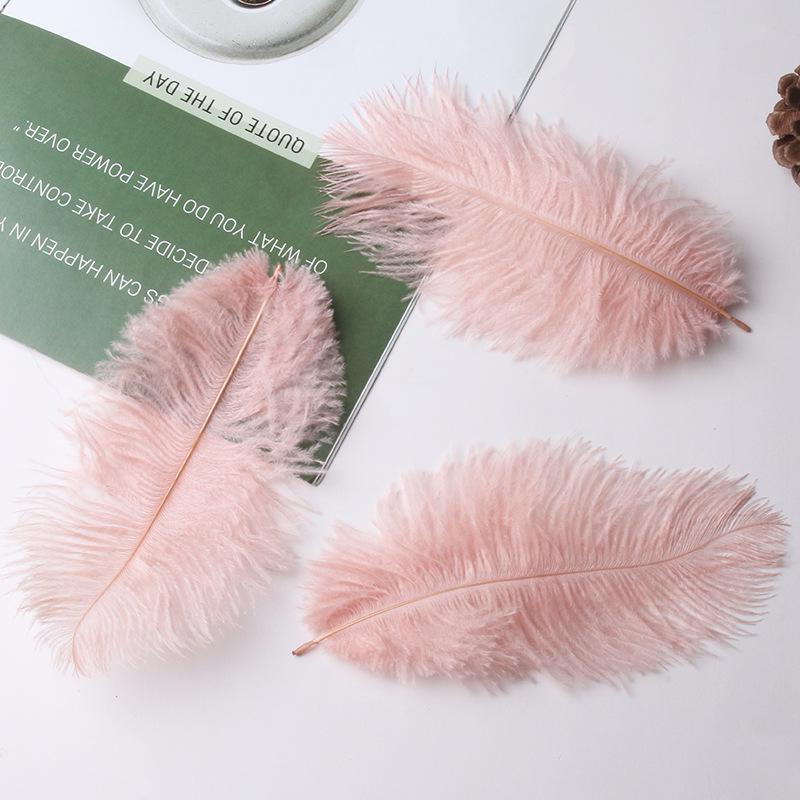 Large 15-20cm Ostrich Feathers for Wedding Arrangements and Stage Props