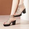 Fashion Summer Women's Breathable High Heel Shoes Women's Peep Toe Platform Chunky Heel Sandals Outdoor Zip Dress Party Heeled Shoes