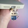 2D Flat Western Single Braid Cat Acrylic Phone Dust Stopper for IPhone Type C Charging Port Protectors Animal Dust Plug Pendant2