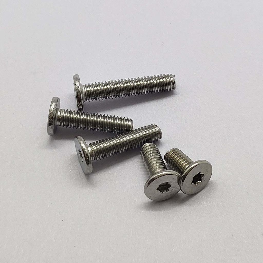 304 Stainless Steel Torx Flat Head Anti-theft Screw (M2, M2.5, M3, M4)