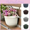 Decorative Wall Hanging Plant Pot With Two Hooks For A Lively Garden Environment