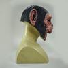 Maschera in Lattice da Scimmia