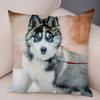 pc Realistic Siberian Husky Print Pillowcase Set  Polyester NonEmbroidery Cushion Covers for Sofa Bed Dog Lover Home Decor