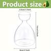 Small Avocado Hydroponic Bottle Heat-resistant Transparent Breeding Container  Indoor