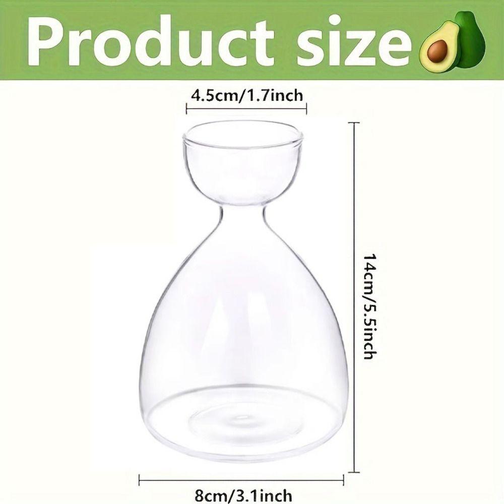 Small Avocado Hydroponic Bottle Heat-resistant Transparent Breeding Container  Indoor