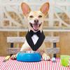 Fashionable Pet Bibs Bandana Dog Collars for Puppies Cats Neck Party Scarves Decorative Triangular Collar Comfortable Gift