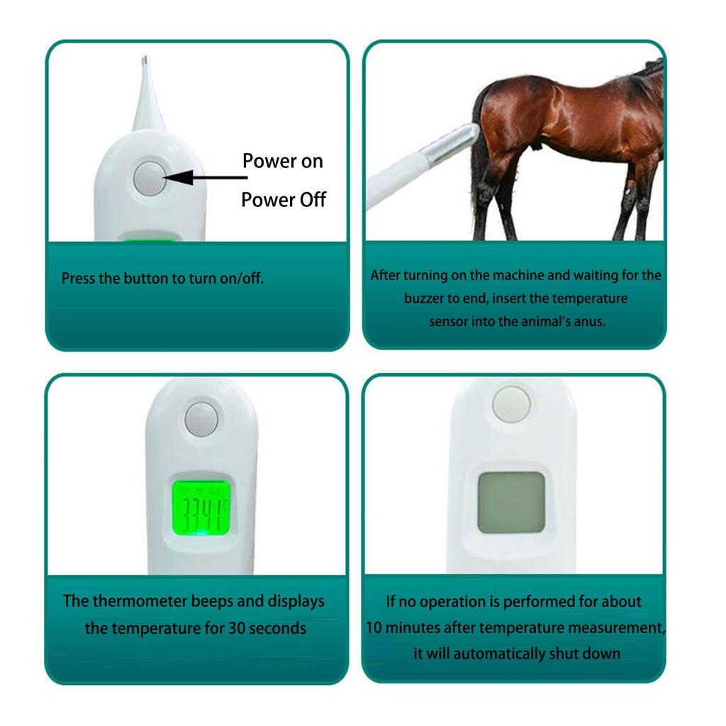 Digitales Haustierthermometer Wasserdichtes LCD-Display für Genaue Temperaturmessung bei Hunden Katzen Pferden
