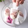 Cha Hua PP Ice Pop Molds