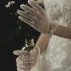 Wedding Dress Short Gloves Pearl Photo Photography Simple Bridal Wedding Gloves