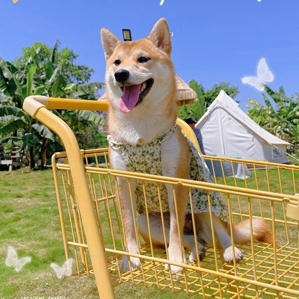 Soft Cat Suspender Skirt Breathable Dog Vest Fashion Dog Floral Dress  Spring Summer