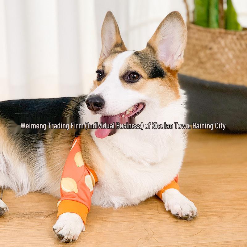 Dirt-Proof Elbow Guard for French Bulldogs and Corgis - Joint Protector & Pet Knee Pad