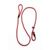 Nylon Dog Leash Dog Traction Belt Pet Harness Straps Pet Supplies