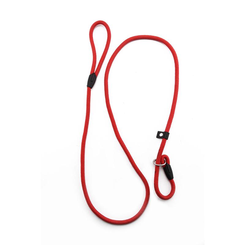 Nylon Dog Leash Dog Traction Belt Pet Harness Straps Pet Supplies