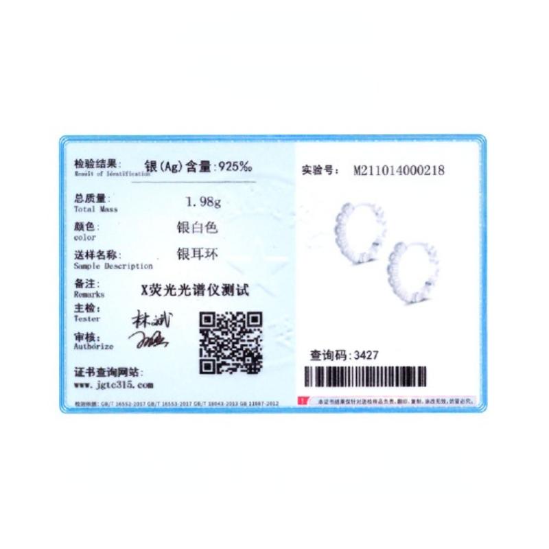 Pendientes Tancise de Plata de Ley 925 con circonita, pendientes colgantes para mujer, regalos de fiesta de boda