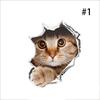 Wall Sticker Vinyl Cute 3D Kitten Cat Bedroom Fridge Decal Home Mural Art Decor