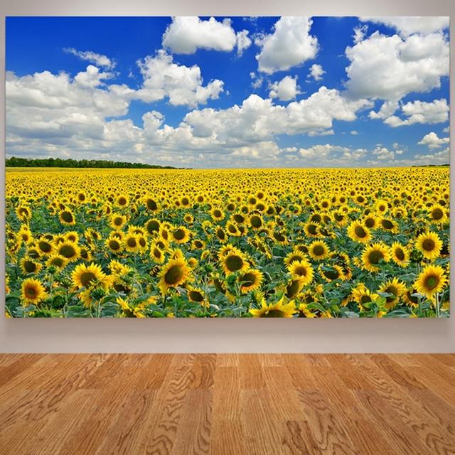

Картина на холсте с подсолнухом, деревенский домашний декор, настенные панно для гостиной, кухни, украшение, пейзажный постер, принт подсолнечника 21*30cm