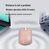 Cross-Border Bluetooth Dual-Mode Silent Mouse with Customizable Type-C for Laptop