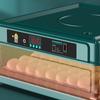 Egg Incubator Automatic Chick LED Display for Goose Chicken 6 Eggs
