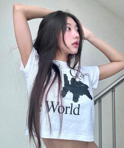 Kaesseibeudeowoldeu Pixel Art Crop Top (2 Colors)
