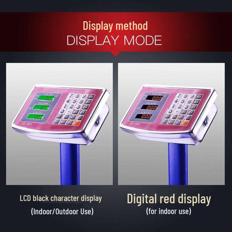 ZISIZ Digital Platform Scale