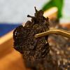2019 Anhua Dark Tea Fu Cha with Gloden Flower Dark Brick Tea  Hey Cha 1000g