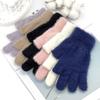 Windproof Touch Screen Gloves Solid Color Two-Finger Gloves Warm Warm Winter Gloves  Hiking Driving