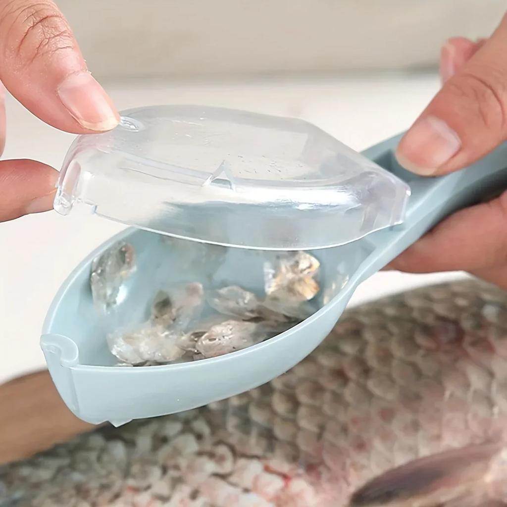 Visschubbenschaaf- en schraapgereedschap met deksel voor huishoudelijk gebruik in de keuken. Handmatig verwijderen van visschubben en zeevruchtengereedschap.