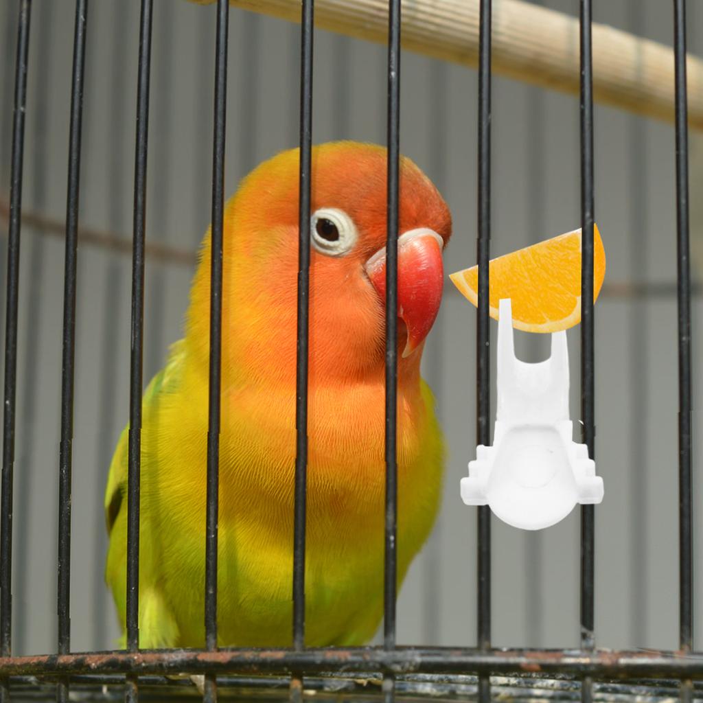 8Pcs Parrot Fruit Feeder Fork Vibrant Color Bird Cage Accessory for Fruits Vegetables Treats Small Pet Feeder Bird Snack Holder