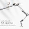 Oeny Folding Dual-Head Desk Lamp with Clamp