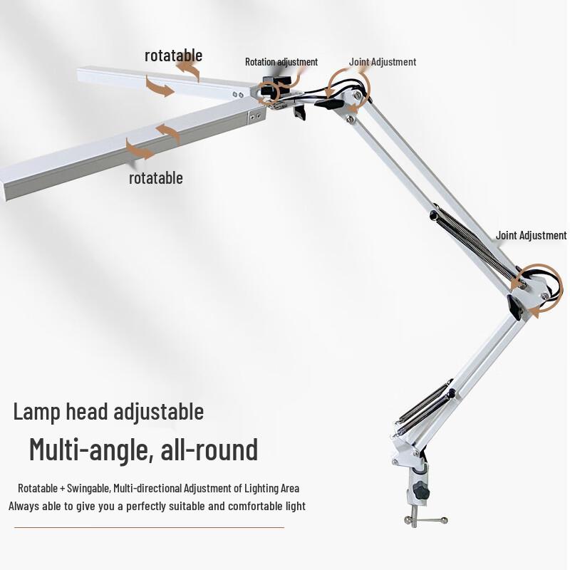 Oeny Folding Dual-Head Desk Lamp with Clamp