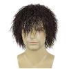 Synthetic Short Curly Brown Wigs for Women Fluffy Wigs with Bangs Daily Party Cosplay Costume Heat Resistant Female