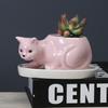 Cartoon Animal Succulent Flower Pot Creative Desktop Plant Cactus Ceramic Flower Pot With Tray