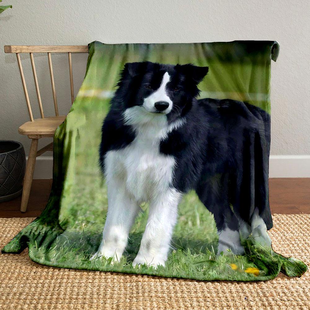 

Border Collie Print Blanket bedroom Blanket for Livingroom Couch lunch break Soft throw for Friend s festival Gift 80cm x 120cm