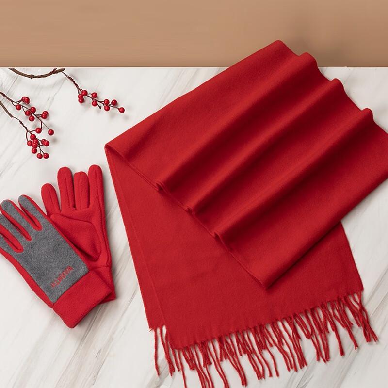 Aisyalan Women's Warm Winter Gloves and Scarf Set