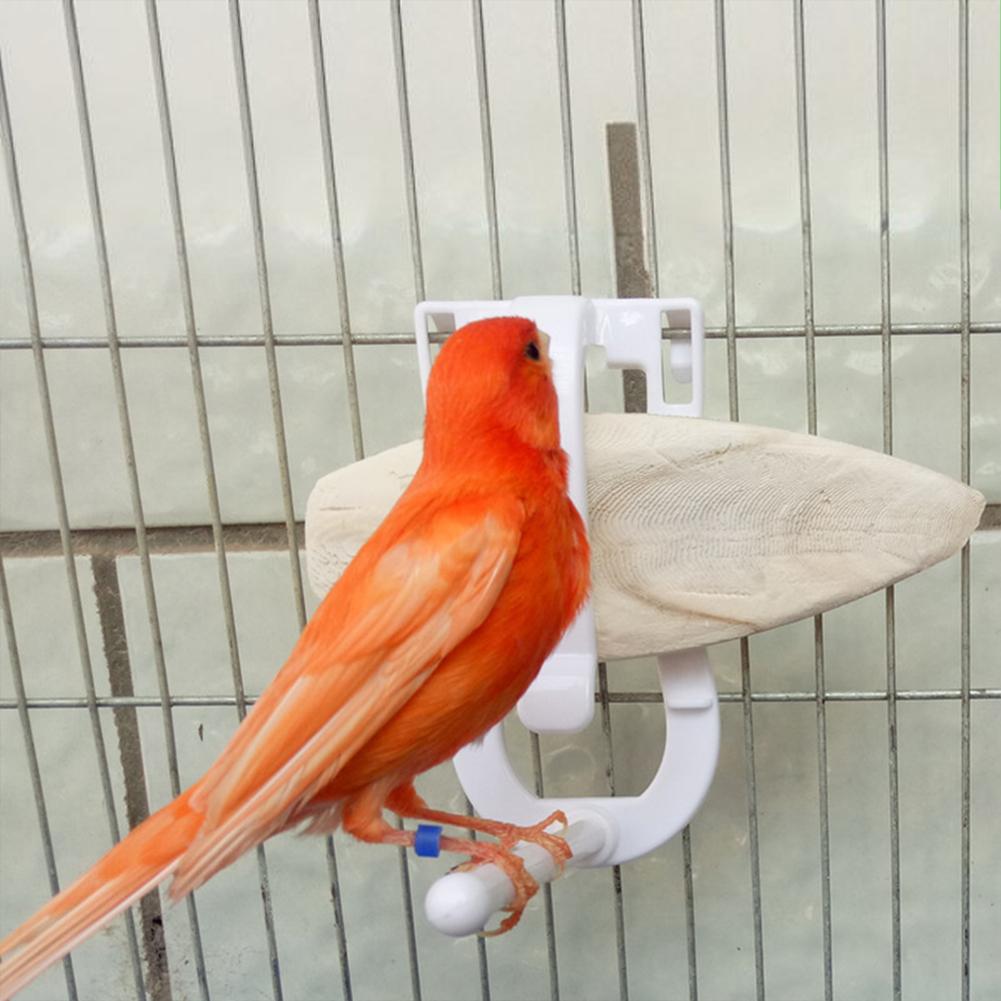 Bird Cage Food Holder, Parrot Fruit Vegetable Clips With Perches Stand, Bird Cage Accessories, Pet Feeder Clips For Budgie Parakeet Cockatoo Macaw Coc