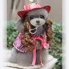 Dog Cape British Elegant Trench Coat Four Seasons Can Wear Cross-dressing Shawl Handsome Cute Pet Clothes