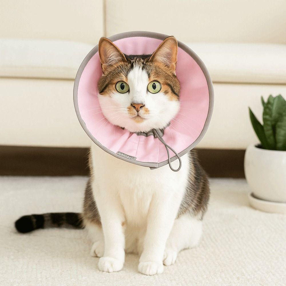 Anti Biting Pet Elizabethan Collar Anti-licking Cat Protective Collar  Neck Recovery