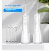 Household electric tooth rinser, tooth cleaner, water flosser, water flosser