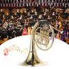 Bb Single French Horn 3 Key Brass Gold Lacquer Single-Row Split French Horn Wind Instrument with