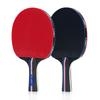 Raquette de Tennis de Table Professionnelle en Bois Pur avec Revêtements Double Face Picots In Loki Raquettes Ping Pong