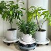 Universele Bloempot Wielen Ronde Plastic Schotel Zware Bloempot Rek Plant Verplaatsbare Rollende Potplant Standaard Met Wielen
