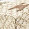 CELINE Triomphe Small Hippo Thais Handbag 19916 2EZ6 01BC 2WAYShoulder beige canvas Women Used