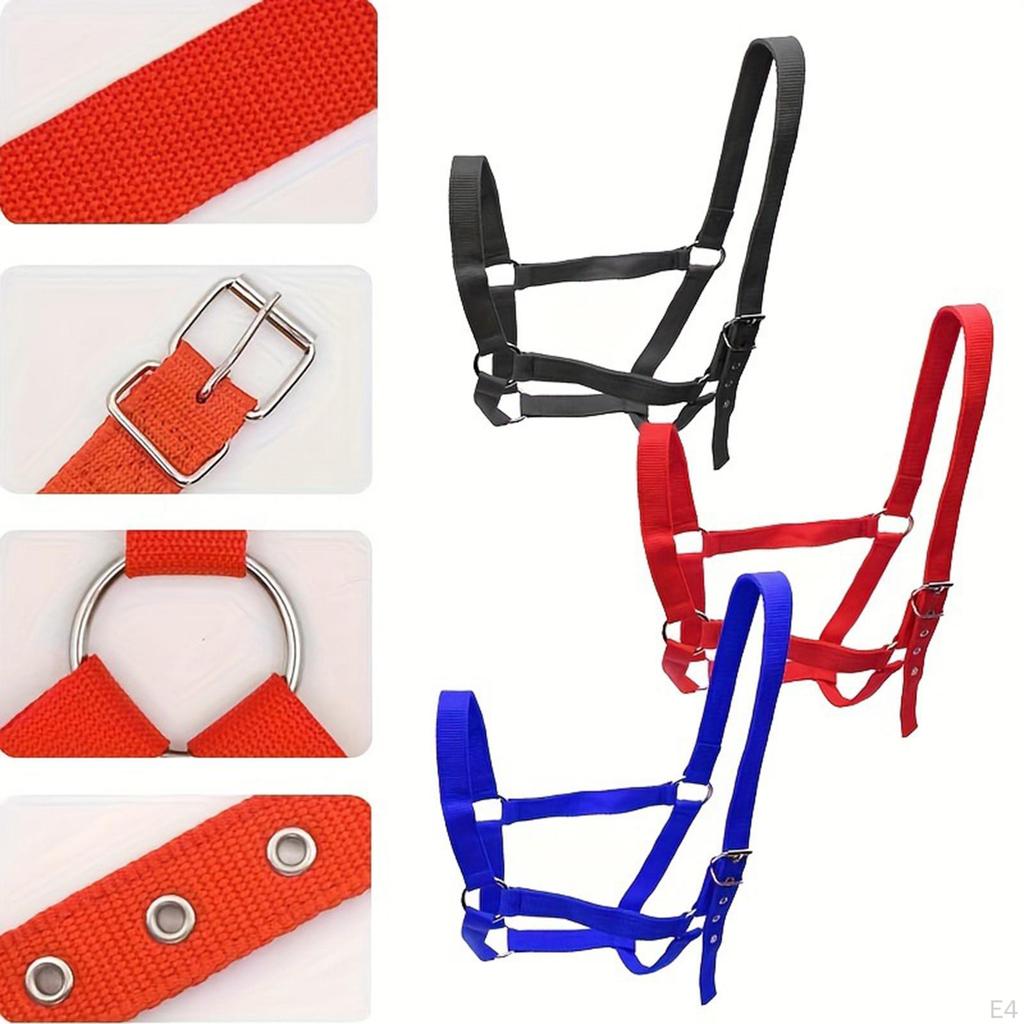Horse Halter Wear Resistant Rope Chin and Throat Snap for Contest Practice