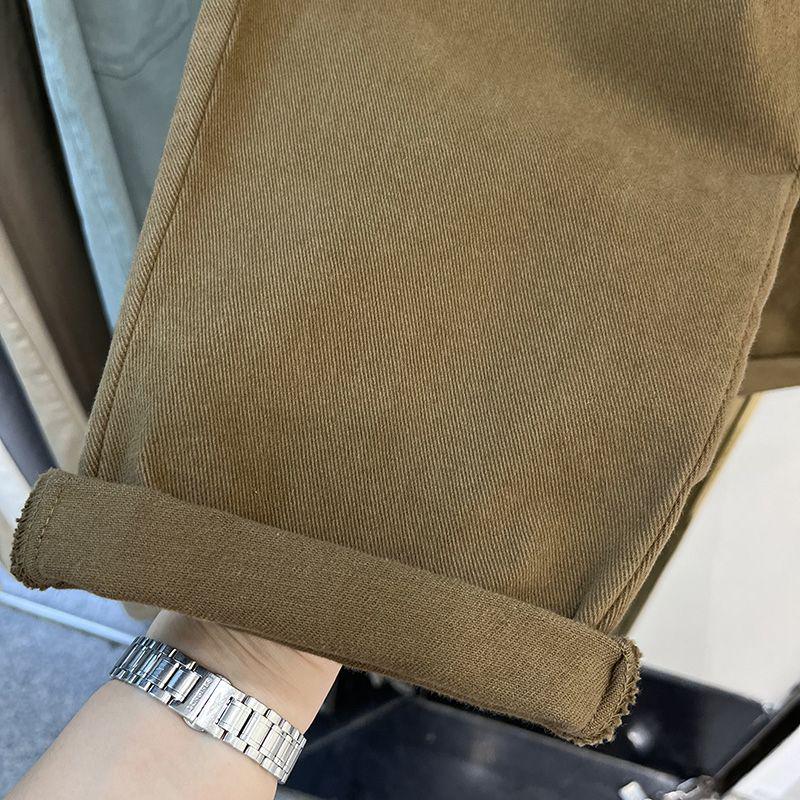 Pantaloni Harem de Damă Stil Coreean Căptușiți cu Fleece - Toamnă/Iarnă, Versatili, la Modă, Largi, Subțiază, Pantaloni Lungi Casual Îngroșați.