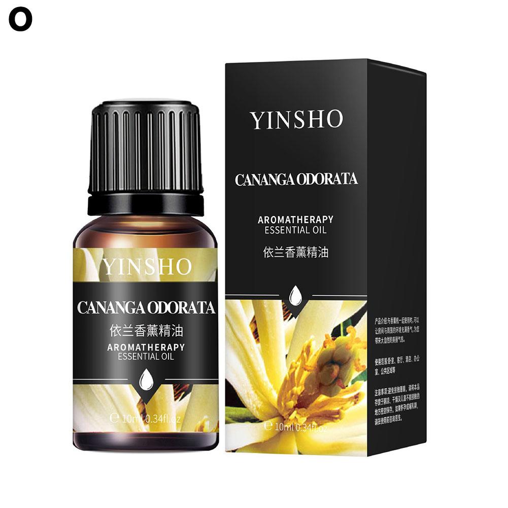 2025 NEU 10ml Ätherische Öle für Aroma Diffuser Luftbefeuchter Zuhause Wasserlöslich Lavendel Auto Lufterfrischer Parfüm Nachfüllung